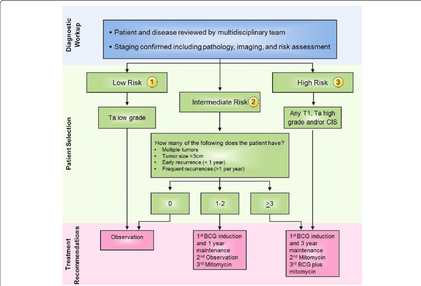 Bladder Cancer Treatment Options