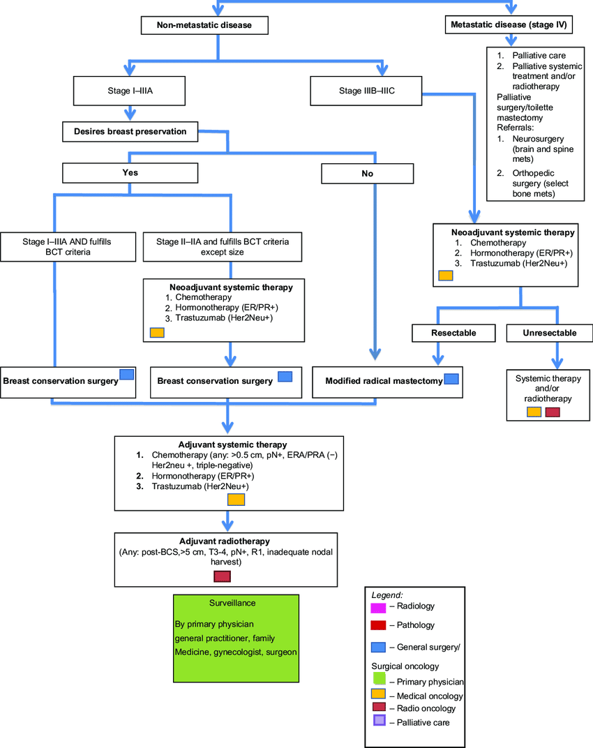 Breast Cancer Patient Journey Map