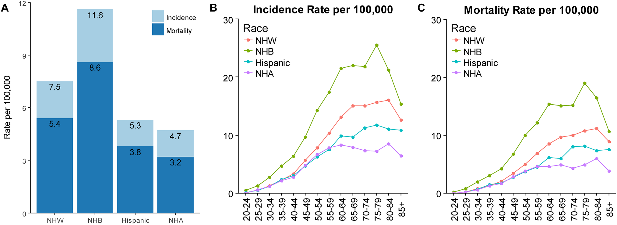 27+ Breast Cancer Metastasis To Bone Marrow
 Background