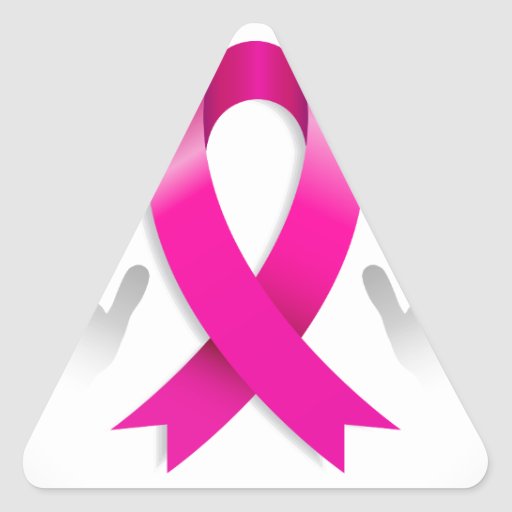 24+ Breast Cancer Awareness Jackets
 Gif