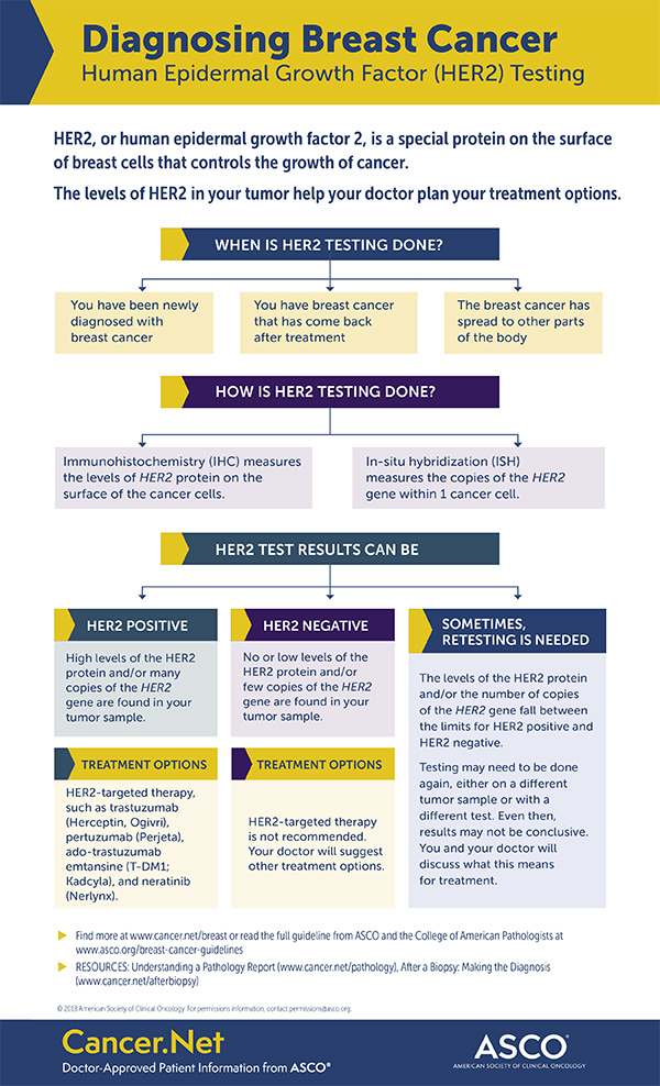 12+ Hormone Therapy Vs Chemotherapy Breast Cancer
 Background